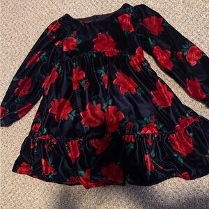 Janie and Jack Velvet Rose Dress